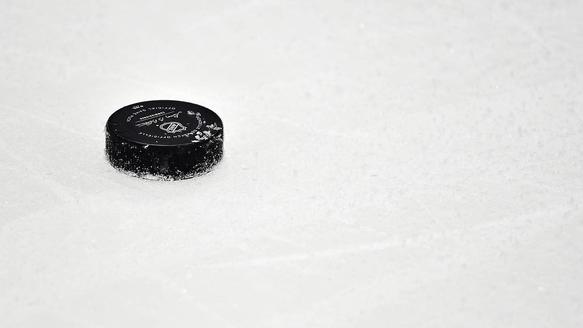 NHL Plans to Test Players for COVID-19 Daily if Games Resume
