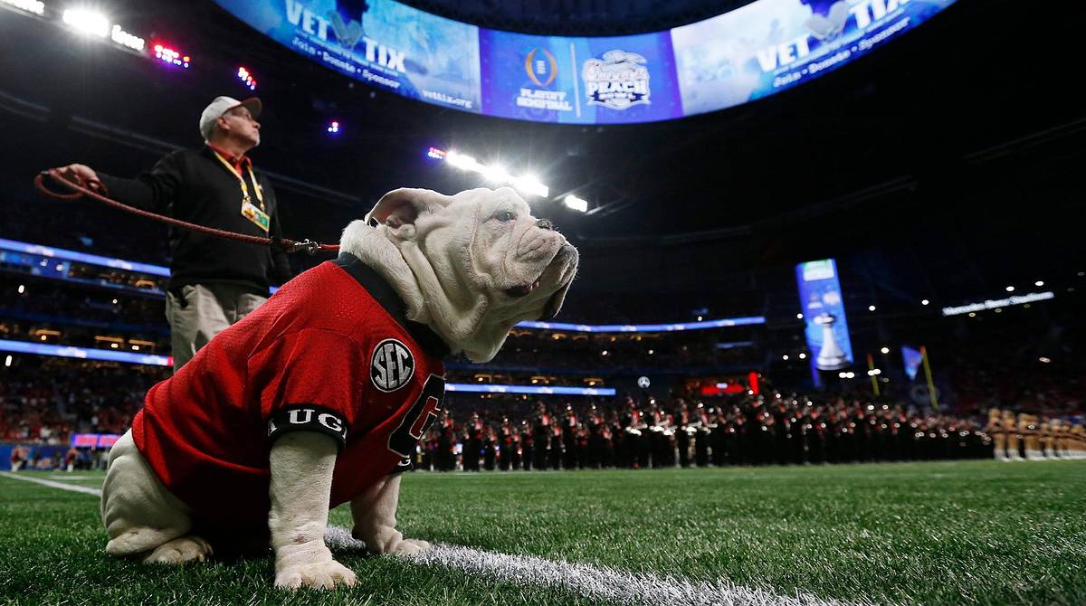 PETA Calls for Georgia Pres. 'to Be a Peach' And Retire Mascot Uga