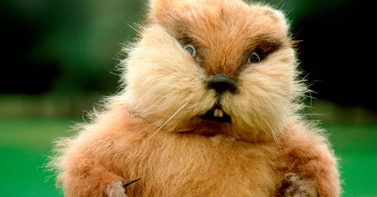 The Inside Story of the ‘Caddyshack’ Theme Song Sports Illustrated