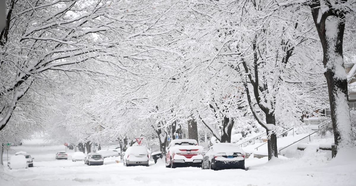 Iowa sports reporter Mark Woodley goes viral for hilarious blizzard