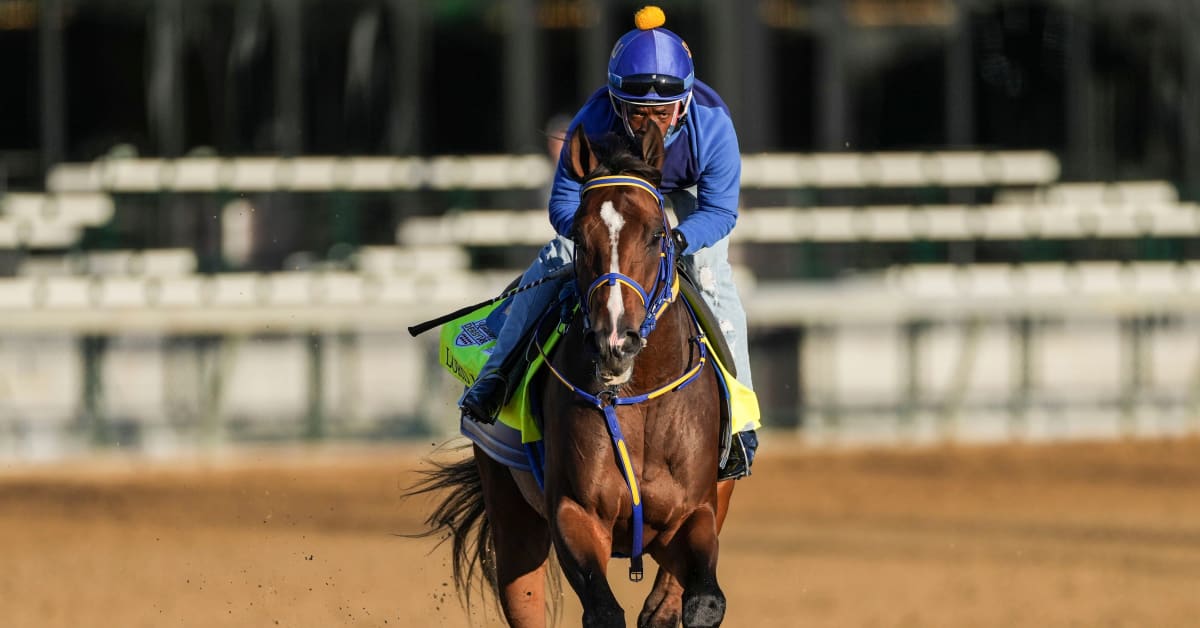 Horse deaths raise questions ahead of the Kentucky Derby Sports
