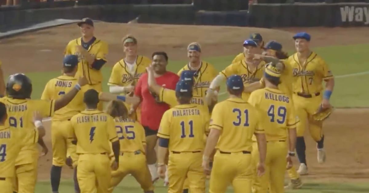 A Baseball Game Ended on an Awesome Play by a Fan and Everybody Loved it
