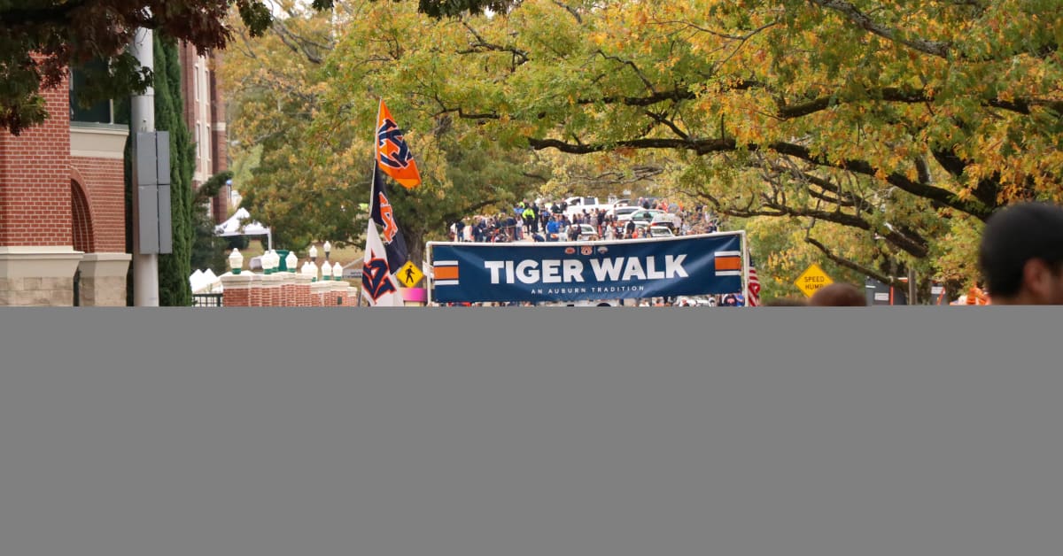 Auburn football has the 10th largest fanbase in the SEC according to