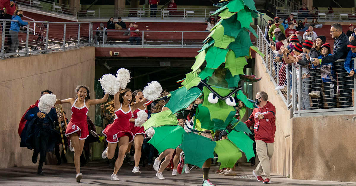 Stanford's beloved tree mascot suspended for antics taking place during