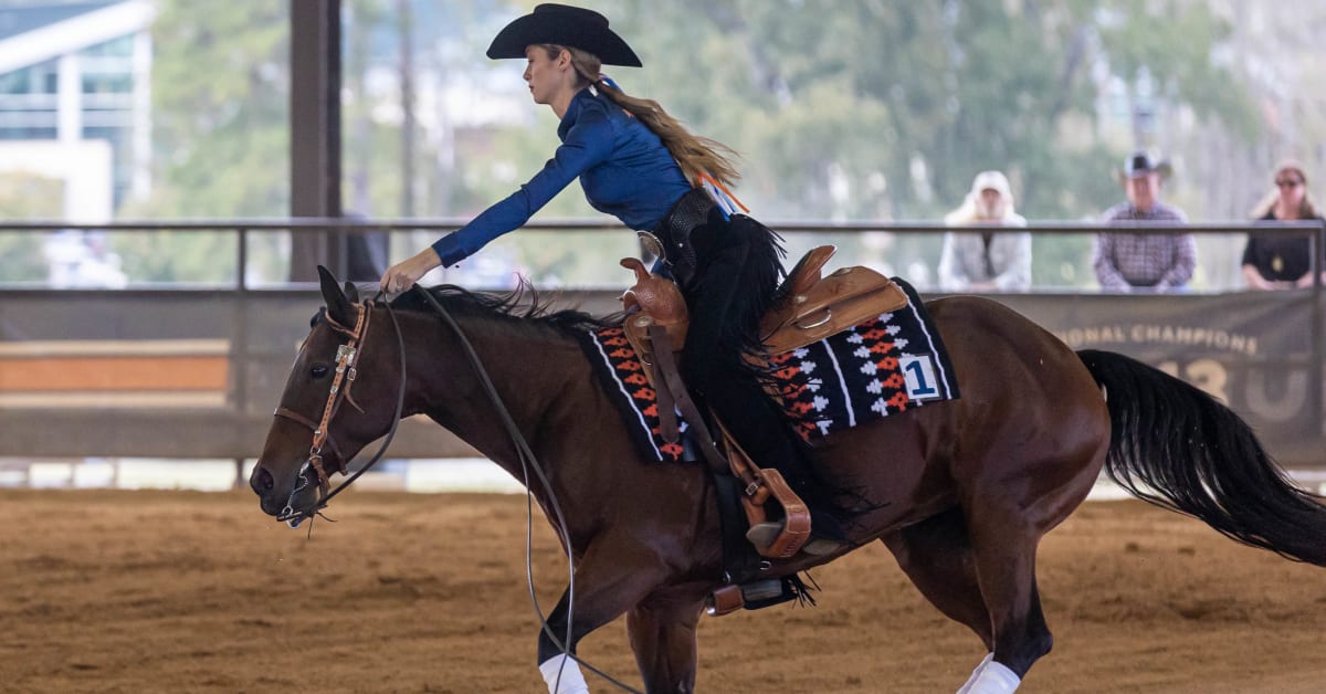 Auburn Equestrian Shellacks Oklahoma State 15-4 to Finish Fall Season ...