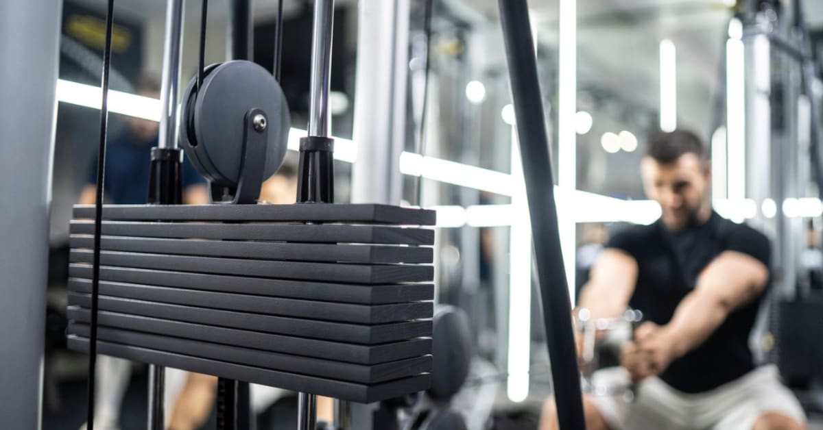 The 8 Best Home Gym Pulley Systems Of