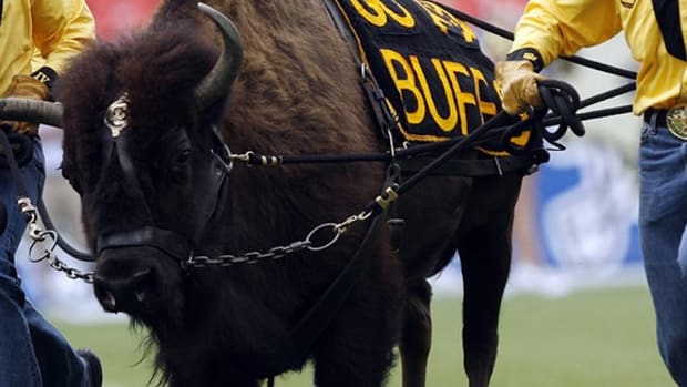 Run with Ralphie! Meet the daring handlers who run with the iconic Colorado mascot