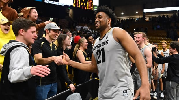 colorado buffaloes fan shop