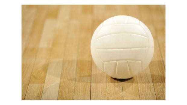 volleyball stock