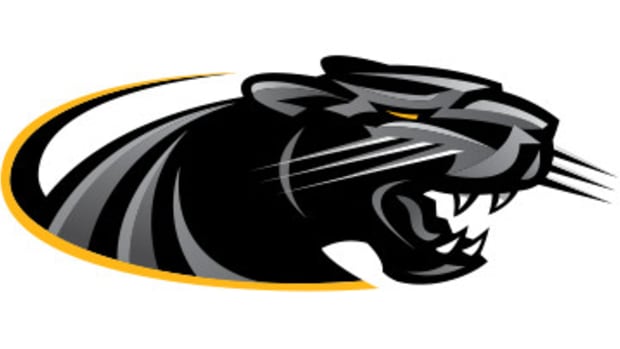 Milwaukee Panthers Logo