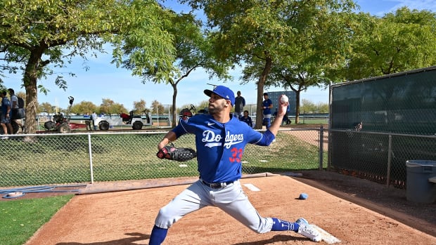 Feb 21, 2020; Glendale, Arizona, USA; Los Angeles Dodgers starting pitcher David Price (33) warms up before throwing live batting practice during spring training at Camelback Ranch. Mandatory Credit: Jayne Kamin-Oncea-USA TODAY Sports