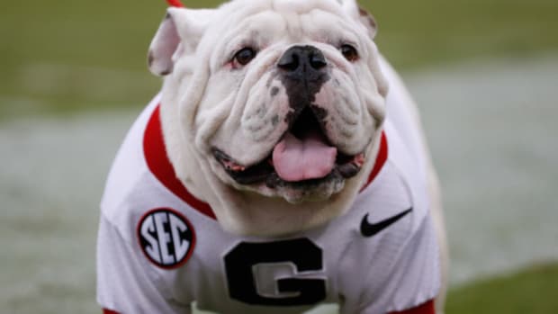Scenes from a Georgia Bulldogs college football game in the SEC.