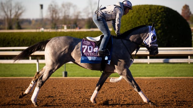 Kentucky Derby Horse Racing Essential Quality