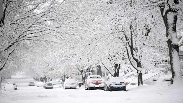 Cars covered in snow