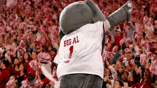 Alabama Crimson Tide mascot Big Al performs during the second half against the Texas A&M Aggies at Bryant-Denny Stadium.
