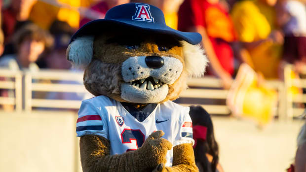 Nov 27, 2021; Tempe, Arizona, USA; Arizona Wildcats mascot Wilbur during the Territorial Cup at Sun Devil Stadium. Mandatory Credit: Mark J. Rebilas-USA TODAY Sports