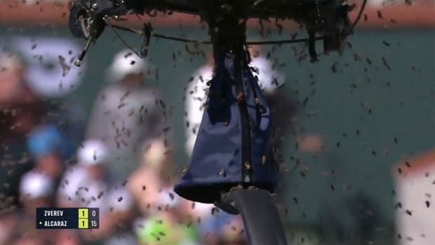 A quarterfinal at Indian Wells had to be delayed due to a bee invasion.