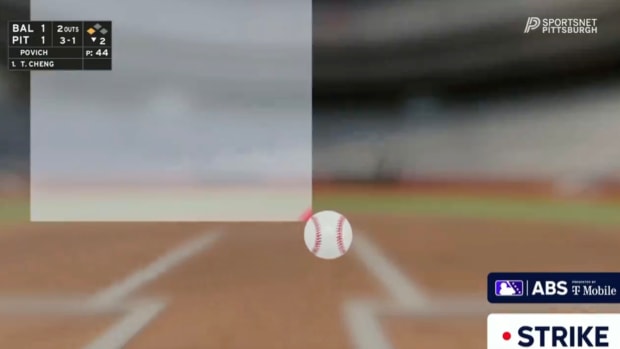 Screenshot from replay review of an umpire's pitch call