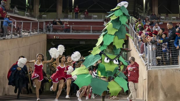 The Stanford Cardinal tree mascot leads cheerleaders out onto the field before a game.