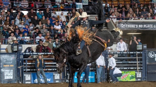 Brody Cress tied his saddle bronc riding record at the National Western Stock Show Rodeo.
