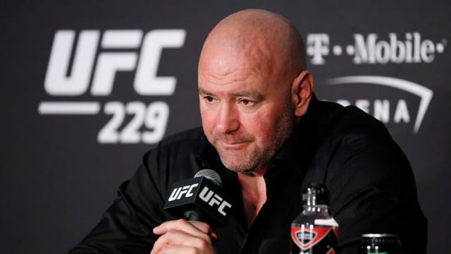 UFC CEO Dana White speaks during a press conference for UFC 229.
