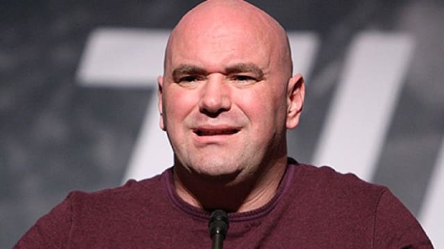 UFC Fans Shocked as Dana White Reveals New Conor McGregor Return Timeline