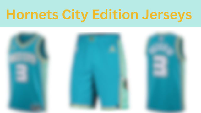 Hornets City Edition Jerseys (1)