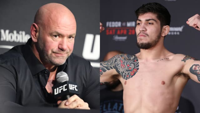 Dana White Dillon Danis