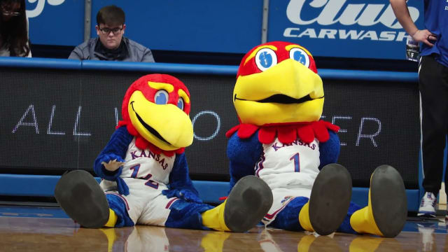Kansas Jayhawks mascots Big Jay and Baby Jay relax after celebrating a Kansas women's basketball victory over the Houston Christian Huskies in Allen Fieldhouse.