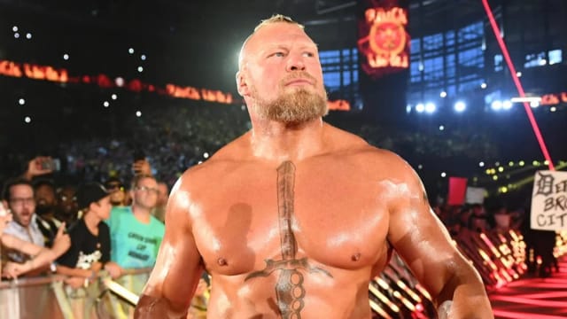 WWE superstar and former UFC champion Brock Lesnar.