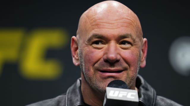 UFC CEO Dana White talks to reporters during a press conference.