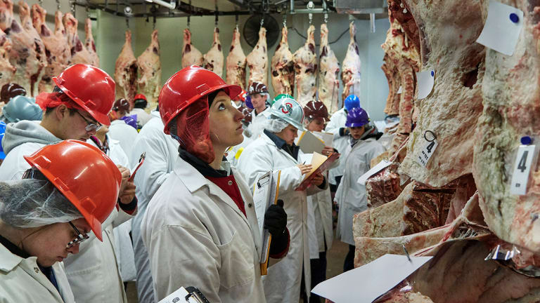 Welcome to the World of Competitive, Intercollegiate Meat Judging