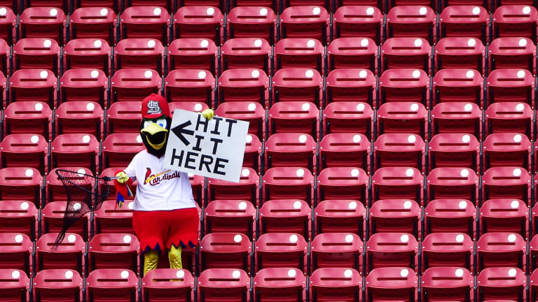 Know Your Enemy: St. Louis Cardinals