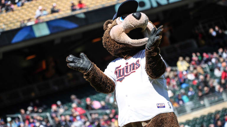 Here are the job requirements to be the next T.C. Bear