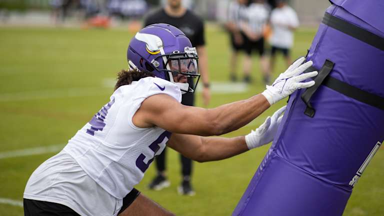 jordan 4 wild things