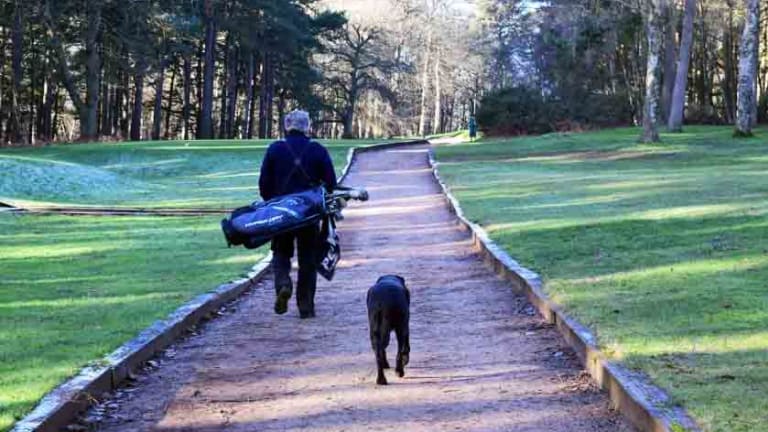 Golf-Loving Dog Izzy Marks Her Final Round in England