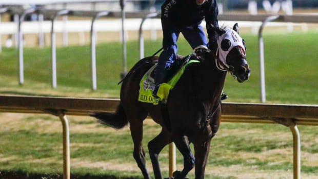 Wild On Ice practices at Churchill Downs ahead of the Kentucky Derby.
