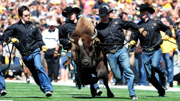 The Colorado Buffaloes mascot Ralphie is lead out before the start of the game against the California Golden Bears at Folsom Field.