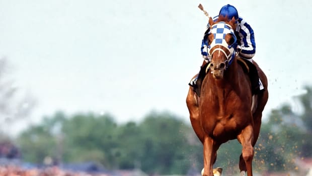 001323795Finalfinalfinal-1