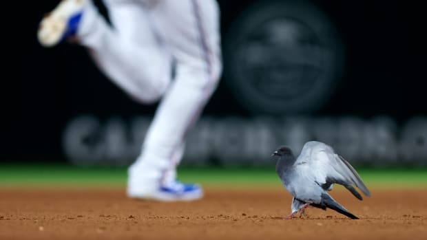 Aug 13, 2022; Arlington, Texas, USA; A pigeon on the field during the fourth inning of the game between the Texas Rangers and Seattle Mariners at Globe Life Field. Mandatory Credit: Kevin Jairaj-USA TODAY Sports