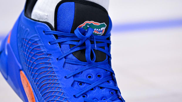 Detailed look at blue Florida Gators shoes.