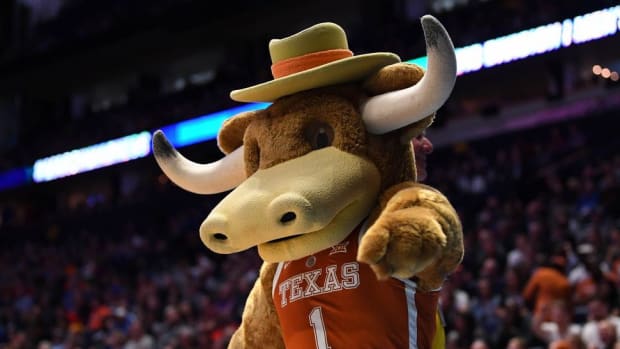 Texas Longhorns mascot 