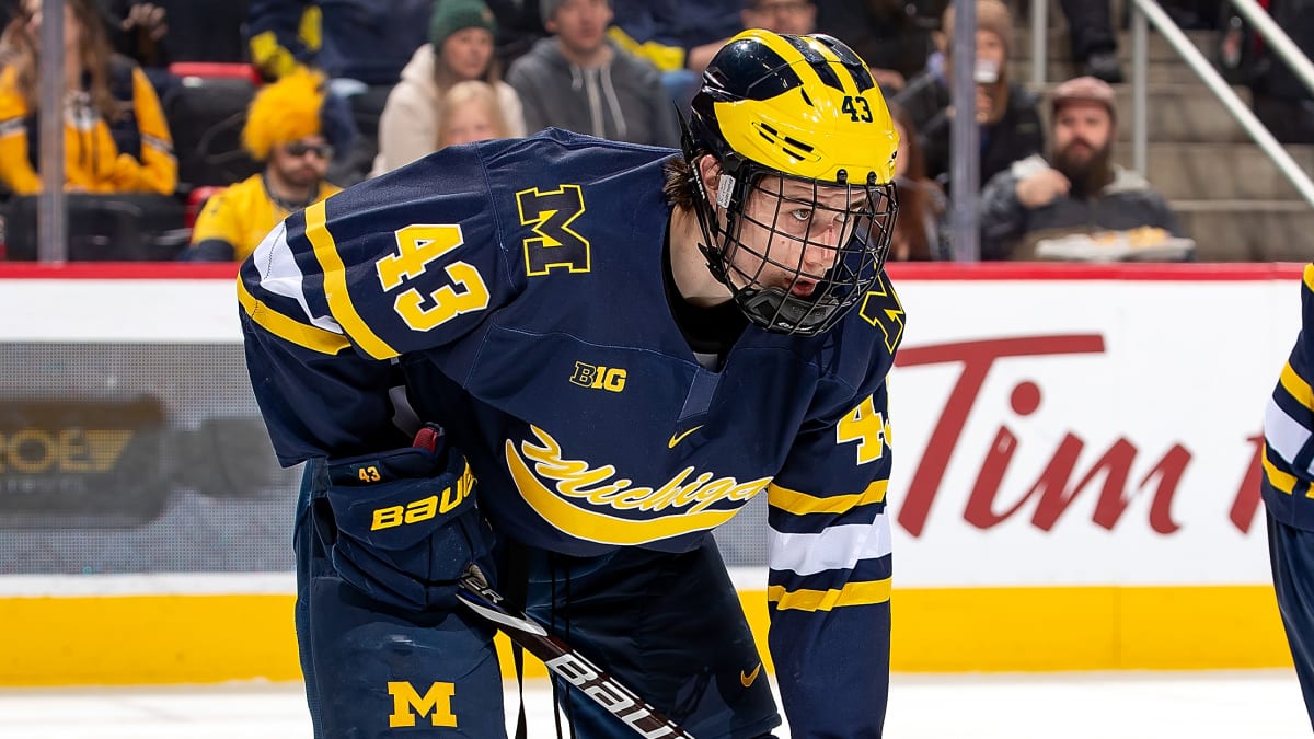 Michigan hockey: Quinn and Jack Hughes could both play for Wolverines