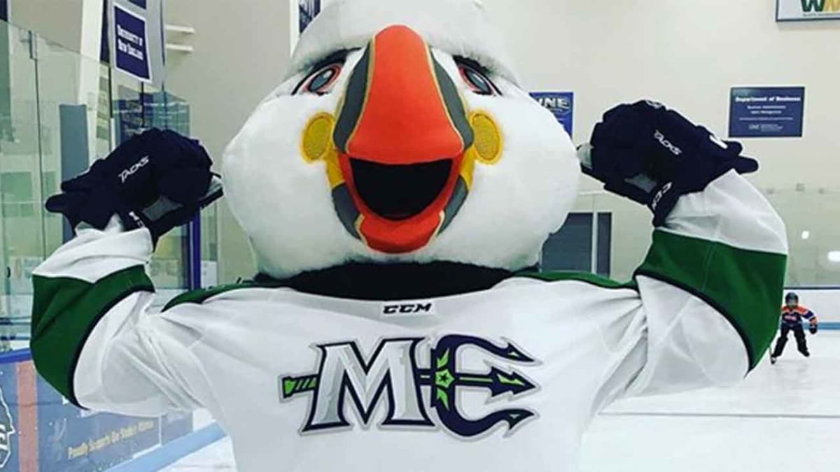 Maine Mariners introduce Beacon the Puffin as mascot - Sports Illustrated