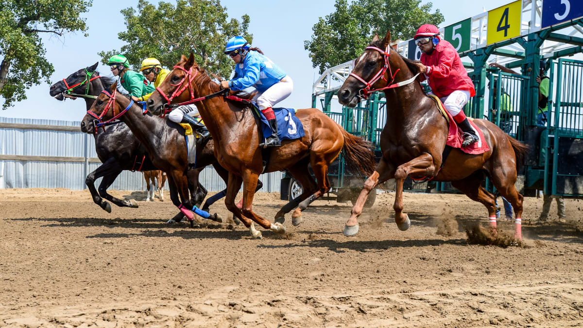 How To Watch Tvg Trackside Live Live Stream Watch Online Tv Channel Time Sports Illustrated What S On Tv Your Guide To Streaming