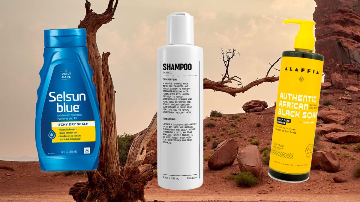 13 Best Shampoos For Dry & Damaged Hair You Need To Try (2023)