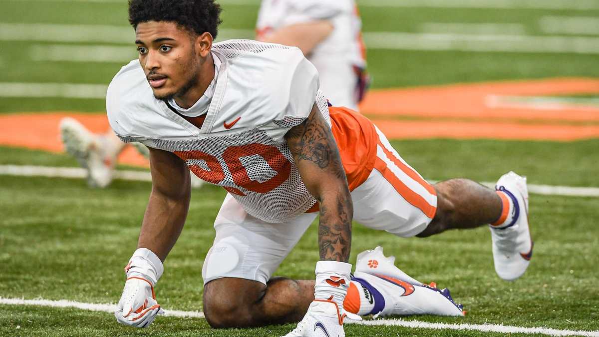 clemson tiger sneakers