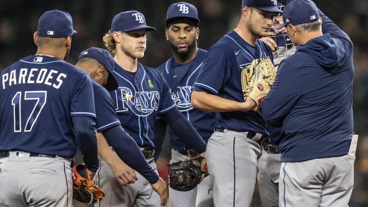 tampa bay rays roster 2020