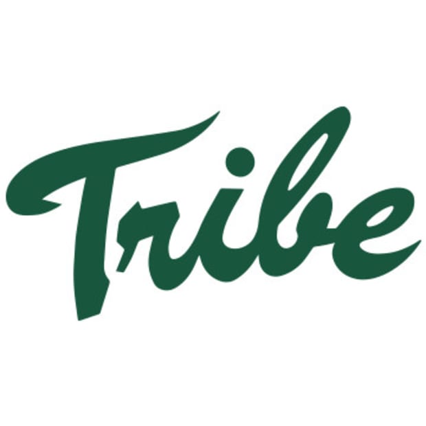 William & Mary Tribe Logo