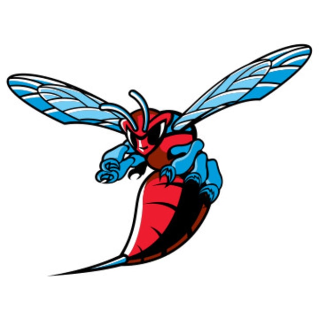 Delaware State Hornets Logo